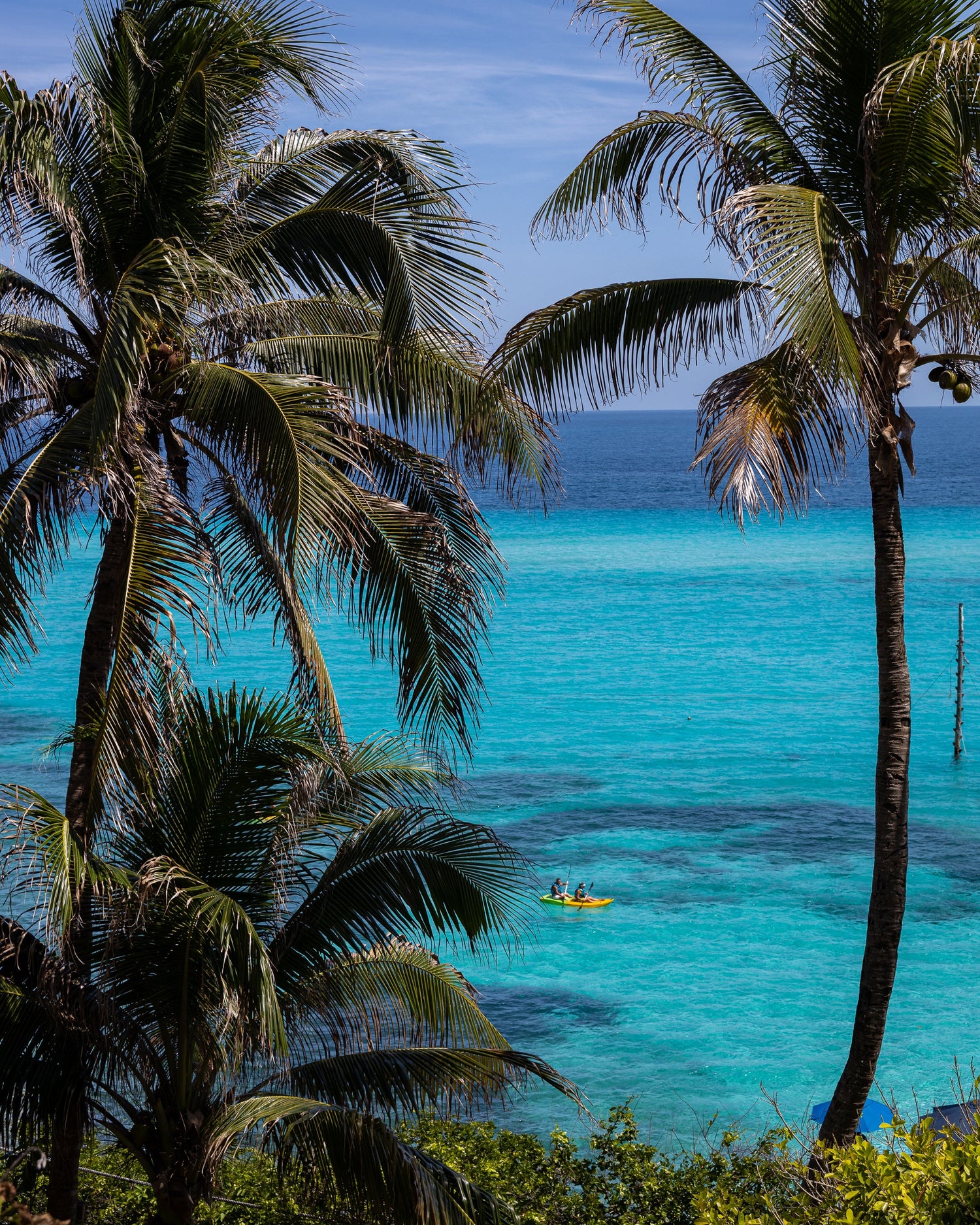 Ocean & Beach
